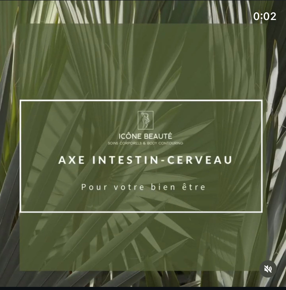 Axe intestin-cerveau : un lien essentiel entre digestion, émotions et bien-être