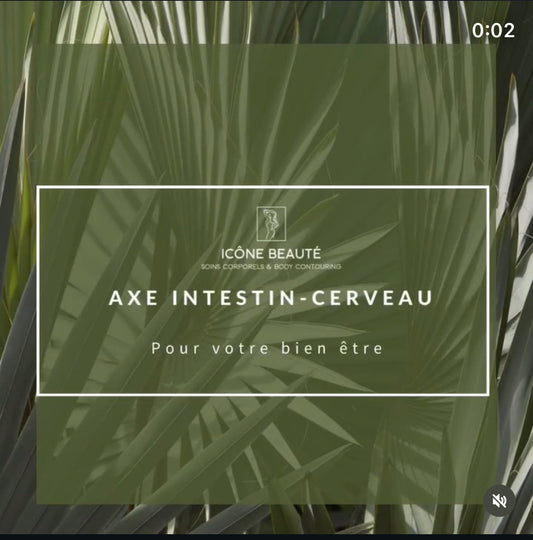 Axe intestin-cerveau : un lien essentiel entre digestion, émotions et bien-être