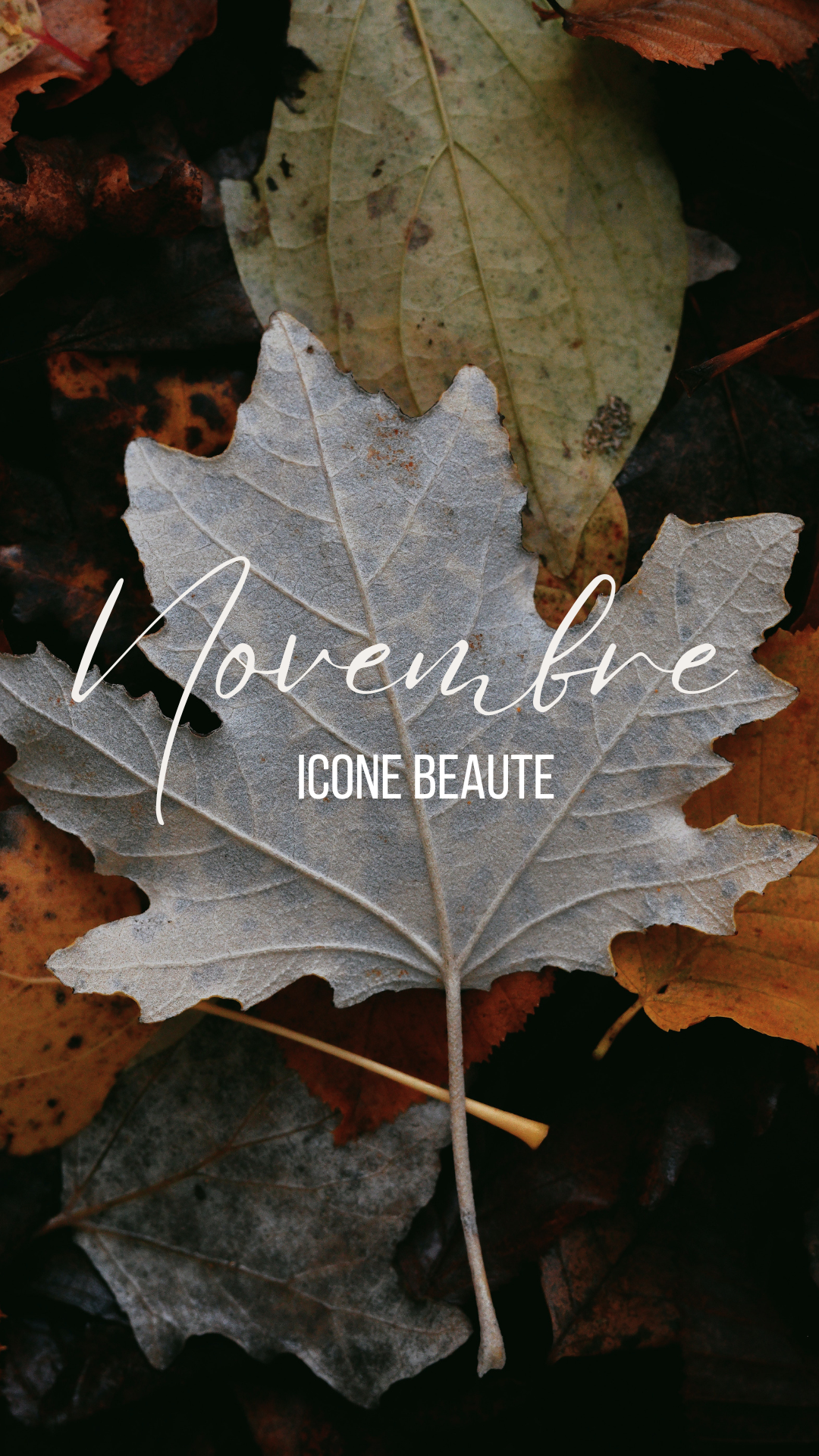 🧡 Trio Flat & Firm – Sangle abdominale sculptée (3-en-1)